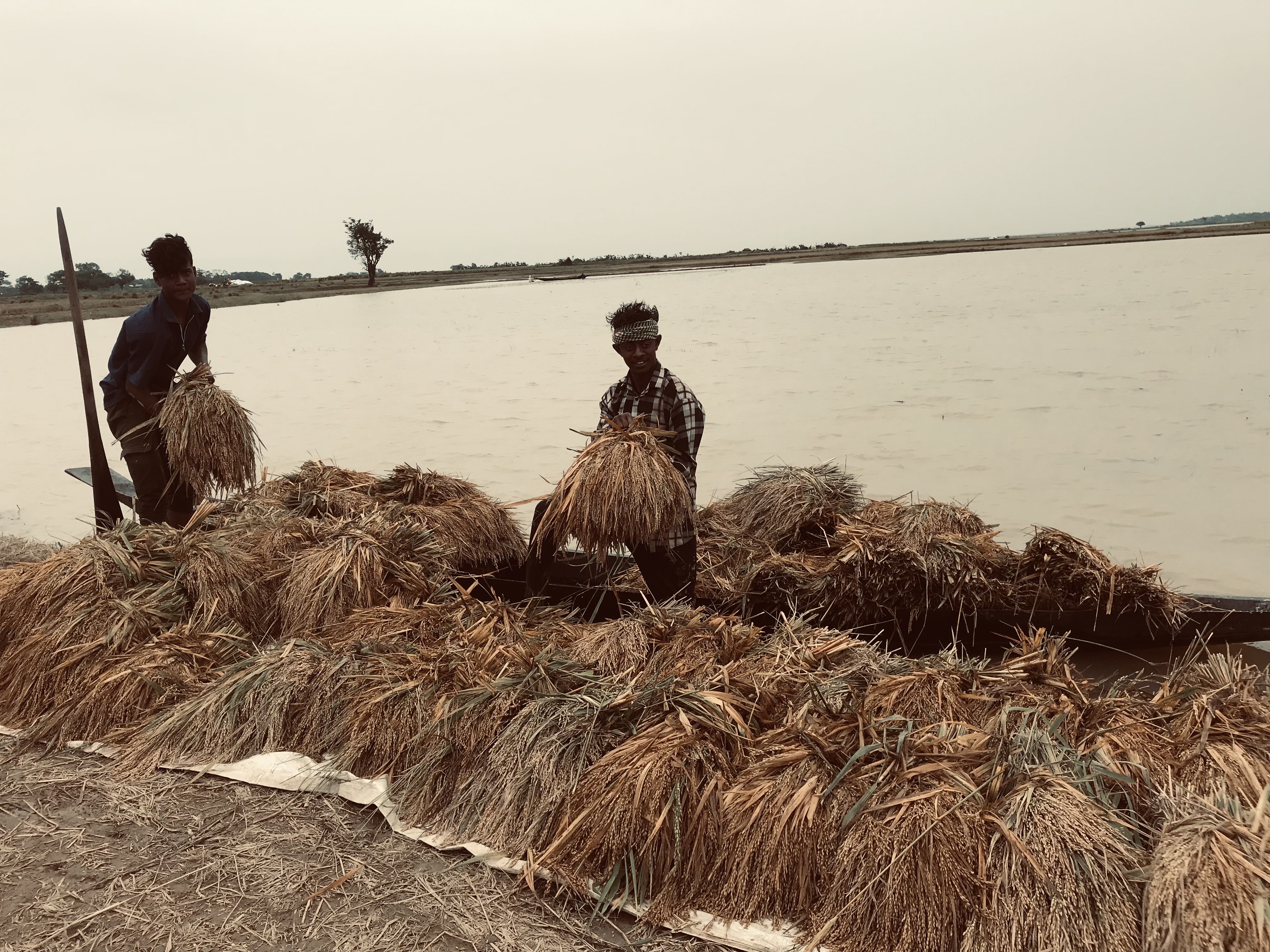 Haor waterlogging related story thumbnail